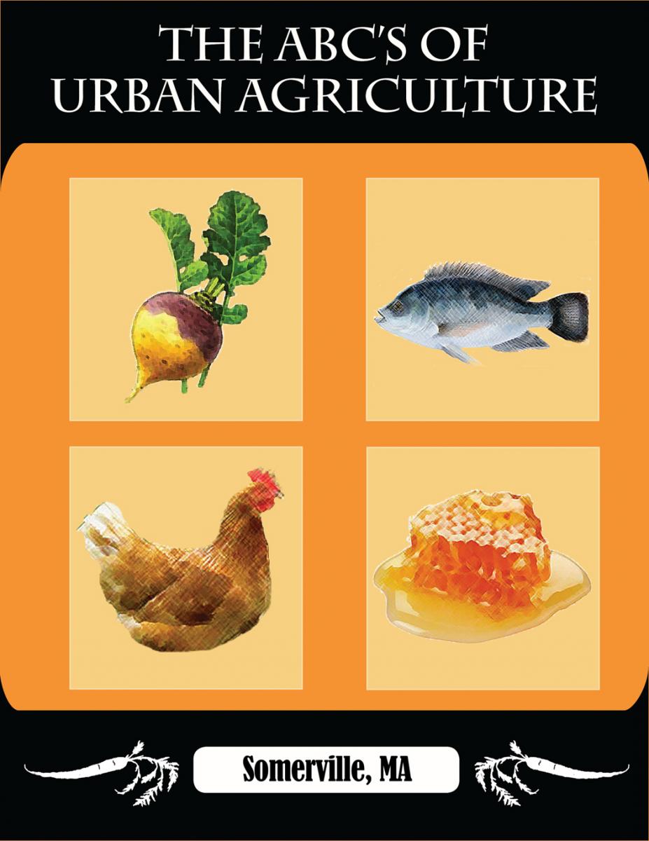 Preview of the ABC's of Urban Agriculture Guide