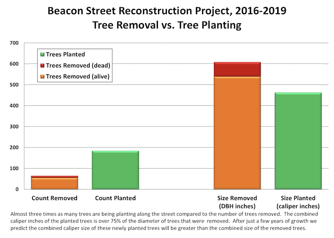 Beacon St tree removal versus planting