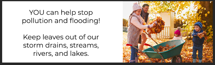 You can help stop pollution and flooding! Keep leaves out of our storm drains, streams, rivers, and lakes.