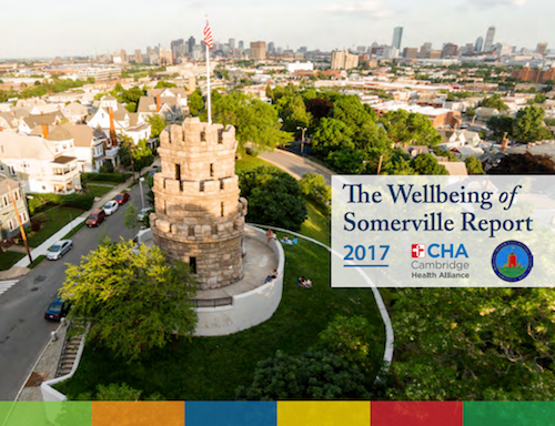 Thumbnail preview links to The Wellbeing of Somerville Report, 2017
