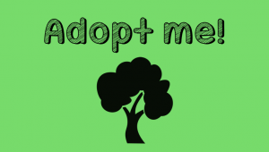 Tree illustration with an "Adopt Me!" caption