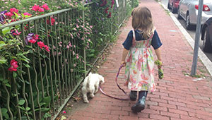 Child walking a small dog down a city sidewalk
