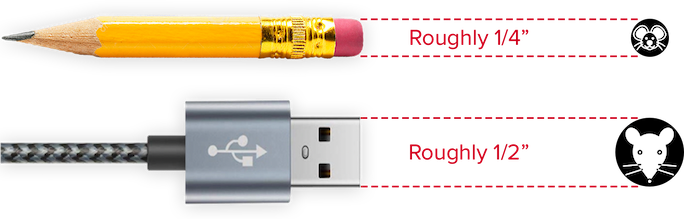 A #2 pencil is approximately 1/4" in diameter, and a standard USB Type A connector is about 1/2" wide for reference.
