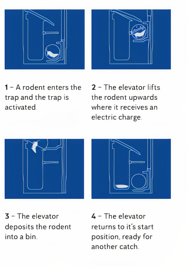 Diagram: A rodent enters tha trap and the trap, receives an electric shock, and is discarded.